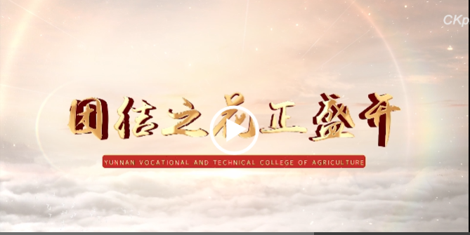 必威手机平台官网首页铸牢中华民族共同体意识专题宣传片